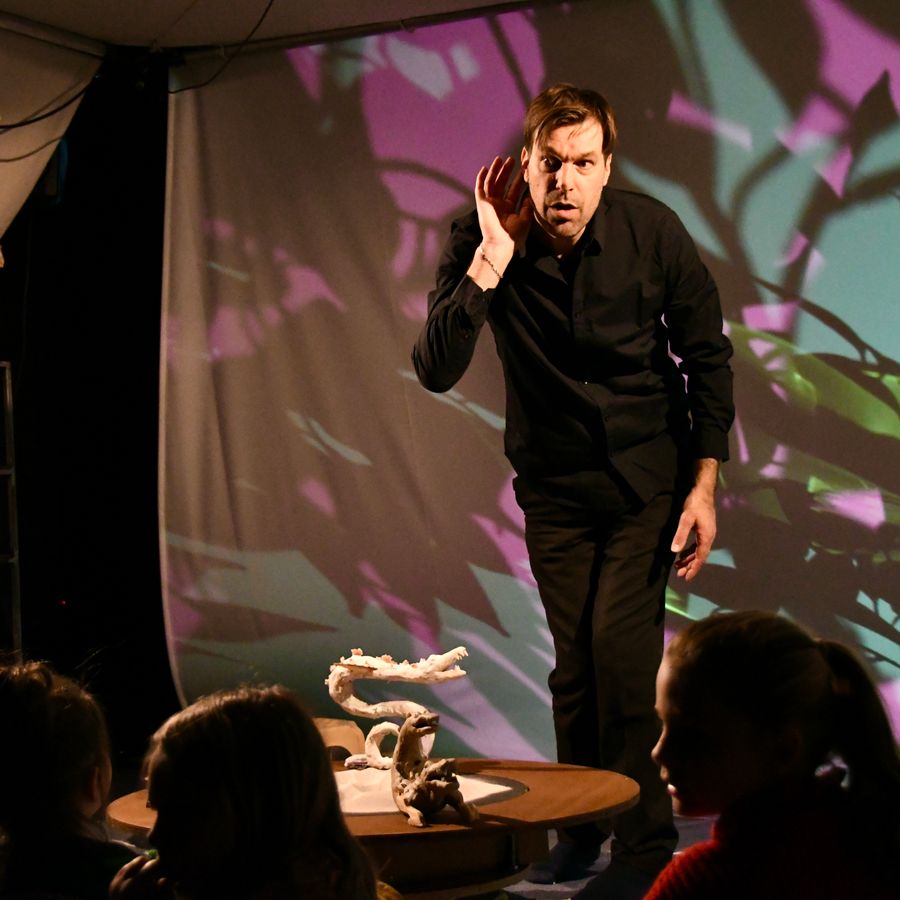 De Grote Zwarte Vogel